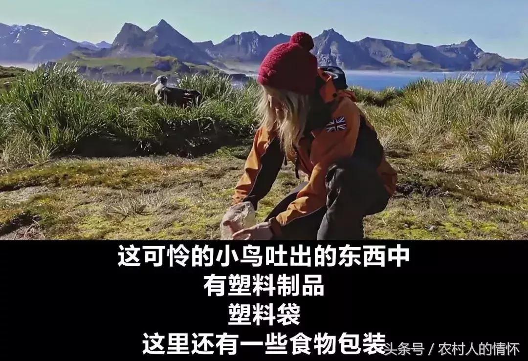 “三竹”过后真正的报应来了