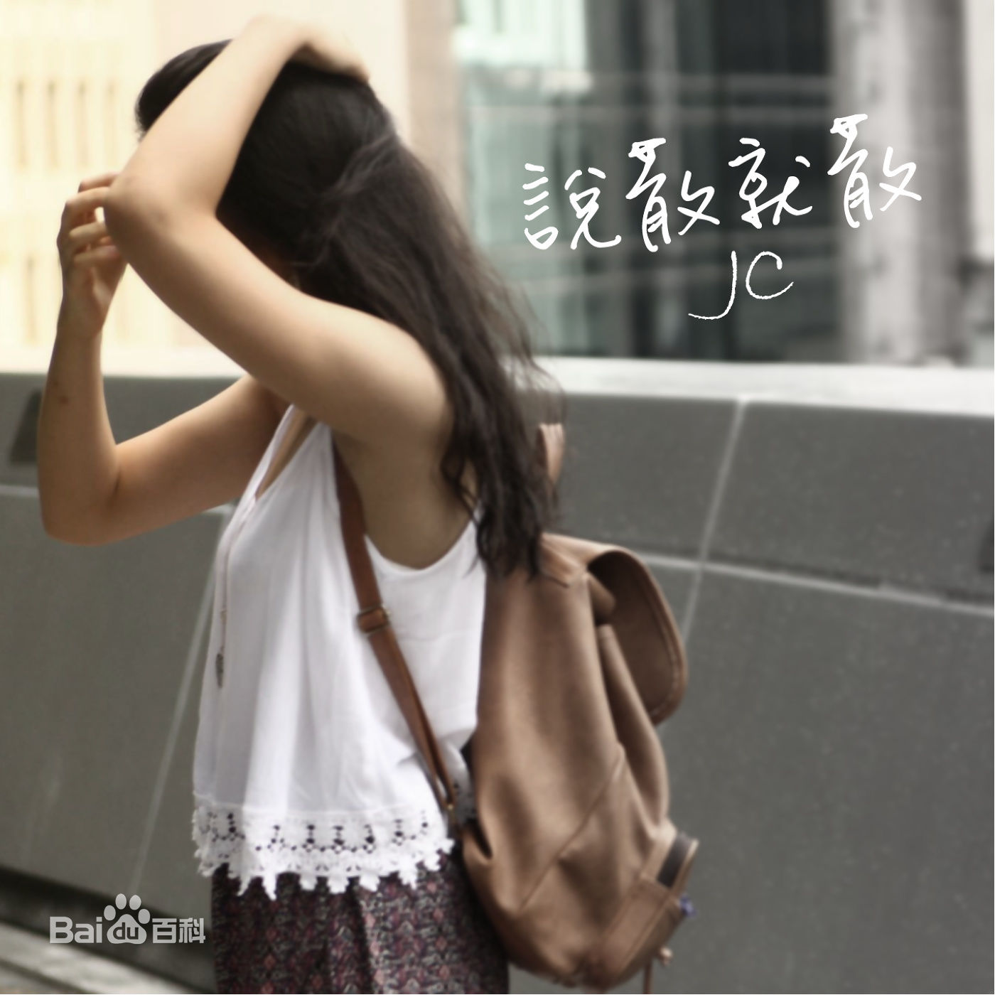 她们的歌曲有哪些,她们的歌有多少人是翻唱的
