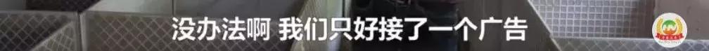 华农兄弟养竹鼠,华农兄弟养竹鼠的视频
