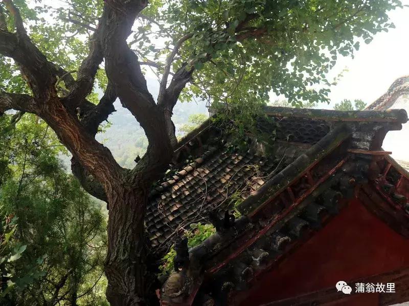 淄博市二郎山景区,淄博泉源自然风景区