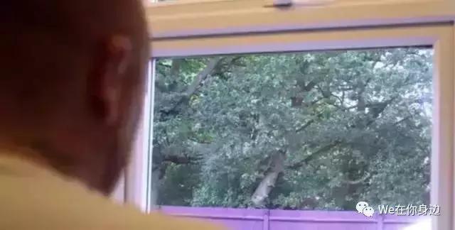 有一天穷孩子真的交换到富人家后结果惊呆了所有人