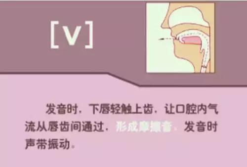 如何正确学习48个英语音标发音,英语音标速成48个简单实用易学