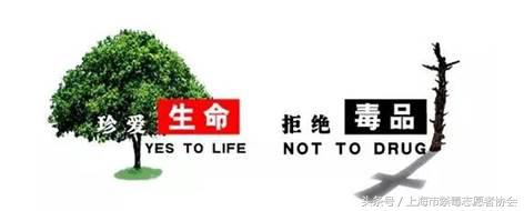 戒毒后复吸的危害,戒毒后复吸的原因包括