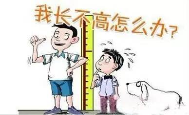 孩子长得慢家长应该怎么办,家长担心孩子长不高怎么回复