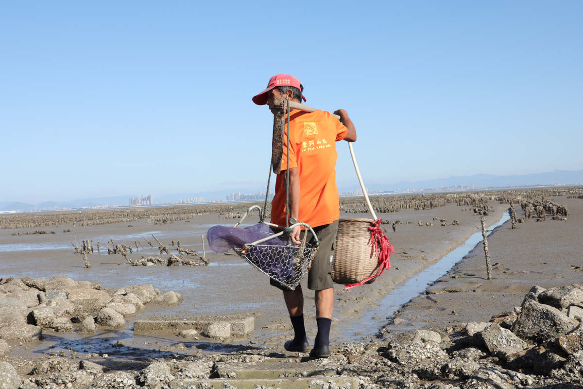 金门半日游,金门适合孩子的旅游景点