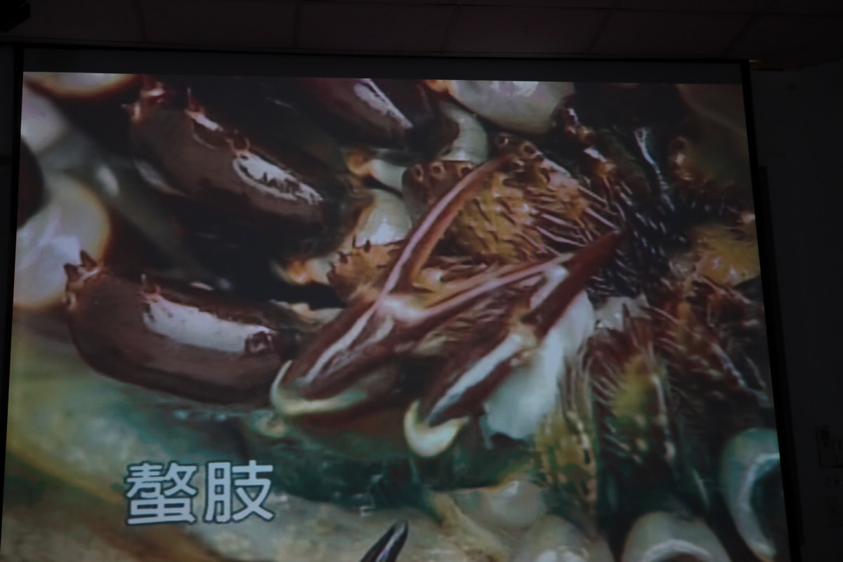 金门半日游,金门适合孩子的旅游景点