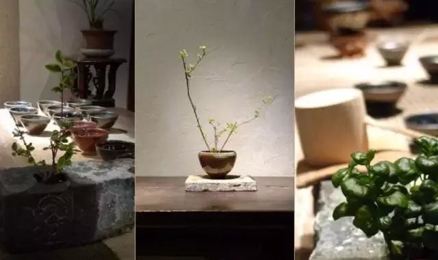 柴烧瓷器：看似不完美，有的人却爱不释手，魅力何在？