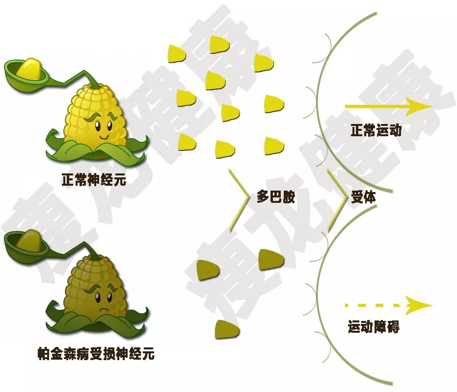 手抖记忆力减退语言功能退化,20岁记忆力下降手抖