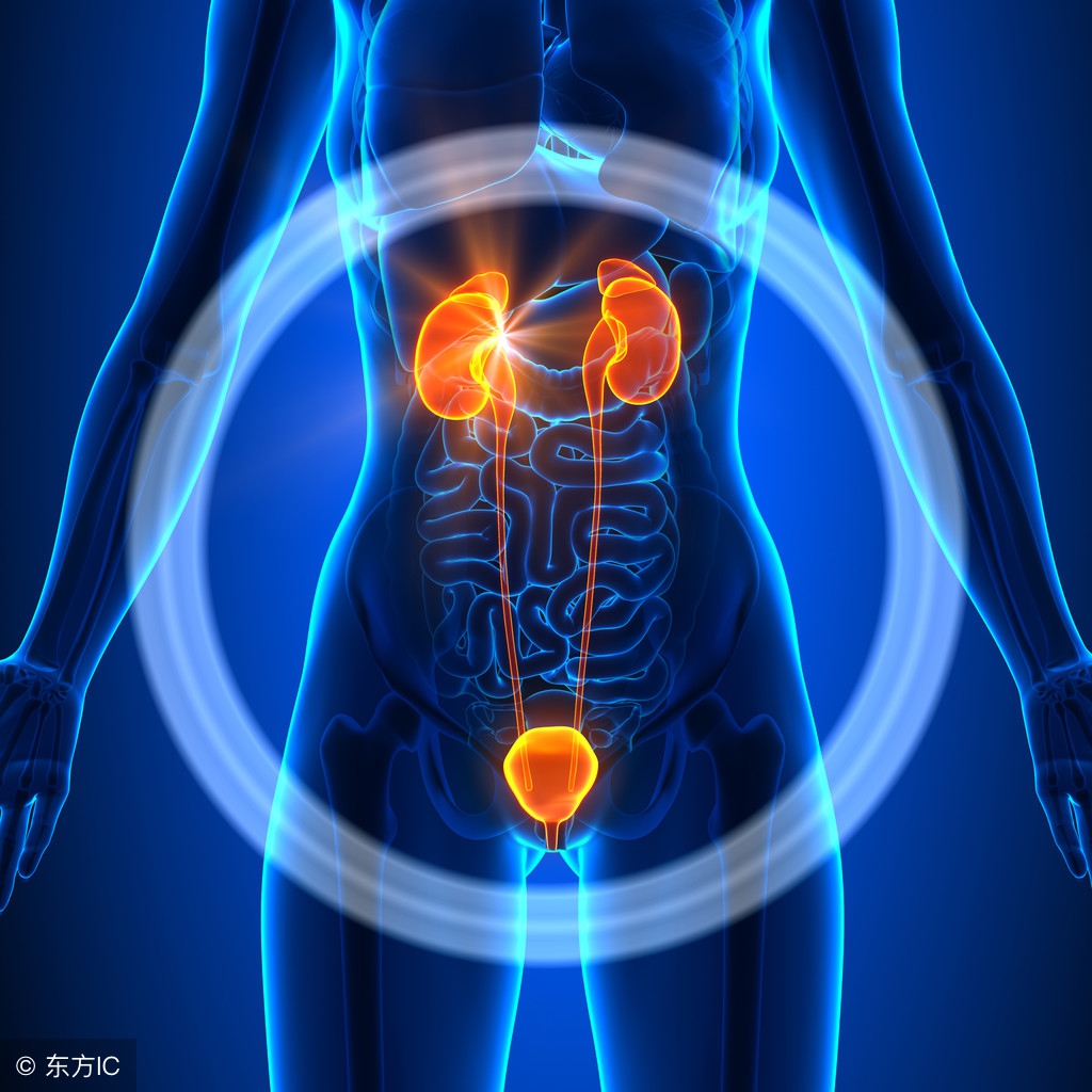 老是尿频尿急吃什么药效果好,老是尿频尿急中医怎么治