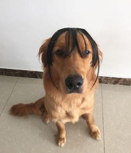 空气刘海出汗不贴脸,空气刘海很毛躁没有型怎么办