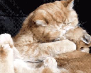 有没有什么美白的真实办法,医生建议怎么美白很有效