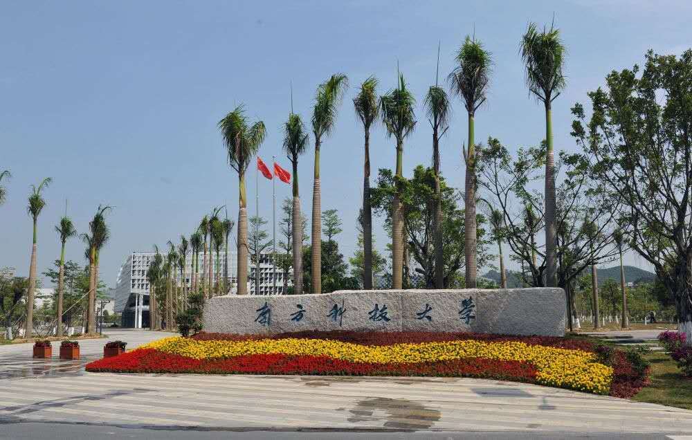 2022世界大学排名100,2019年世界大学排名榜前100