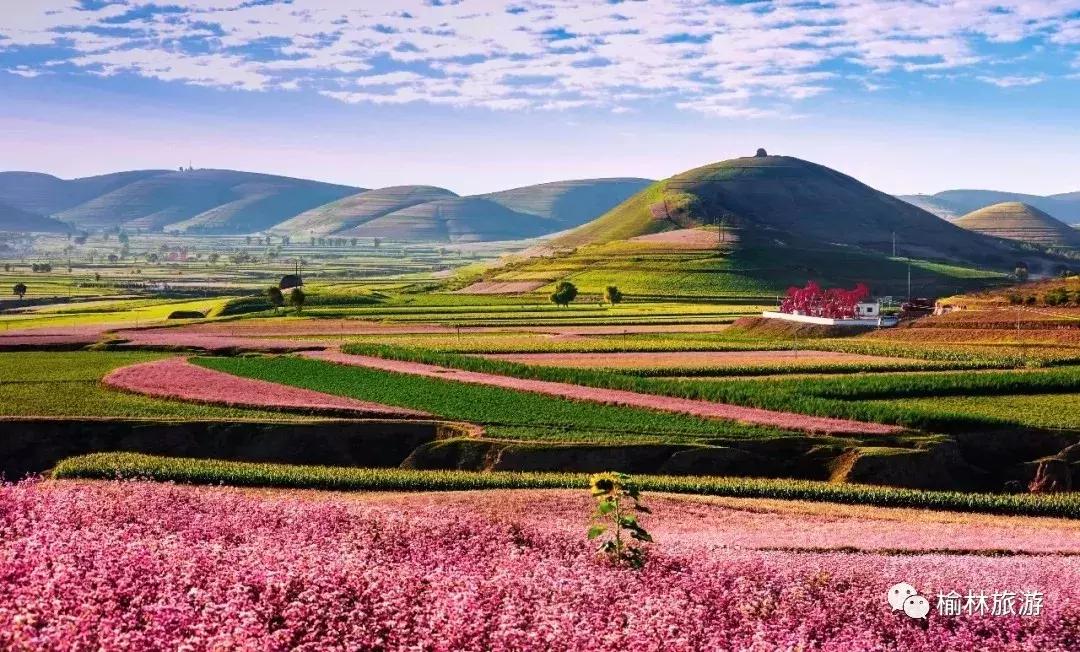 十一期间陕西榆林游玩攻略,榆林出发十一免费游的地方