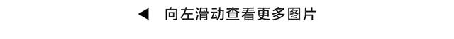 ralphlaurenpolo颜色,ralphlaurenpolo真假