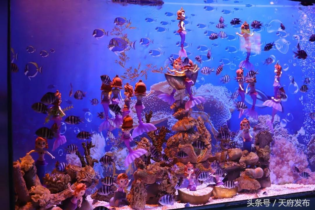 天府新区国庆哪里玩,国庆假期游玩攻略成都天府新区