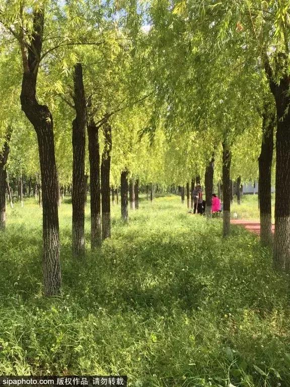 京城免费景点,京城旅游十大必去景点