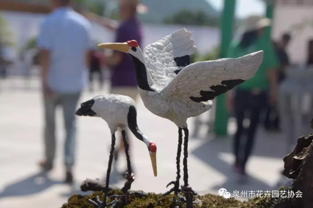喜迎国庆展风采,迎国庆鲜花展美图