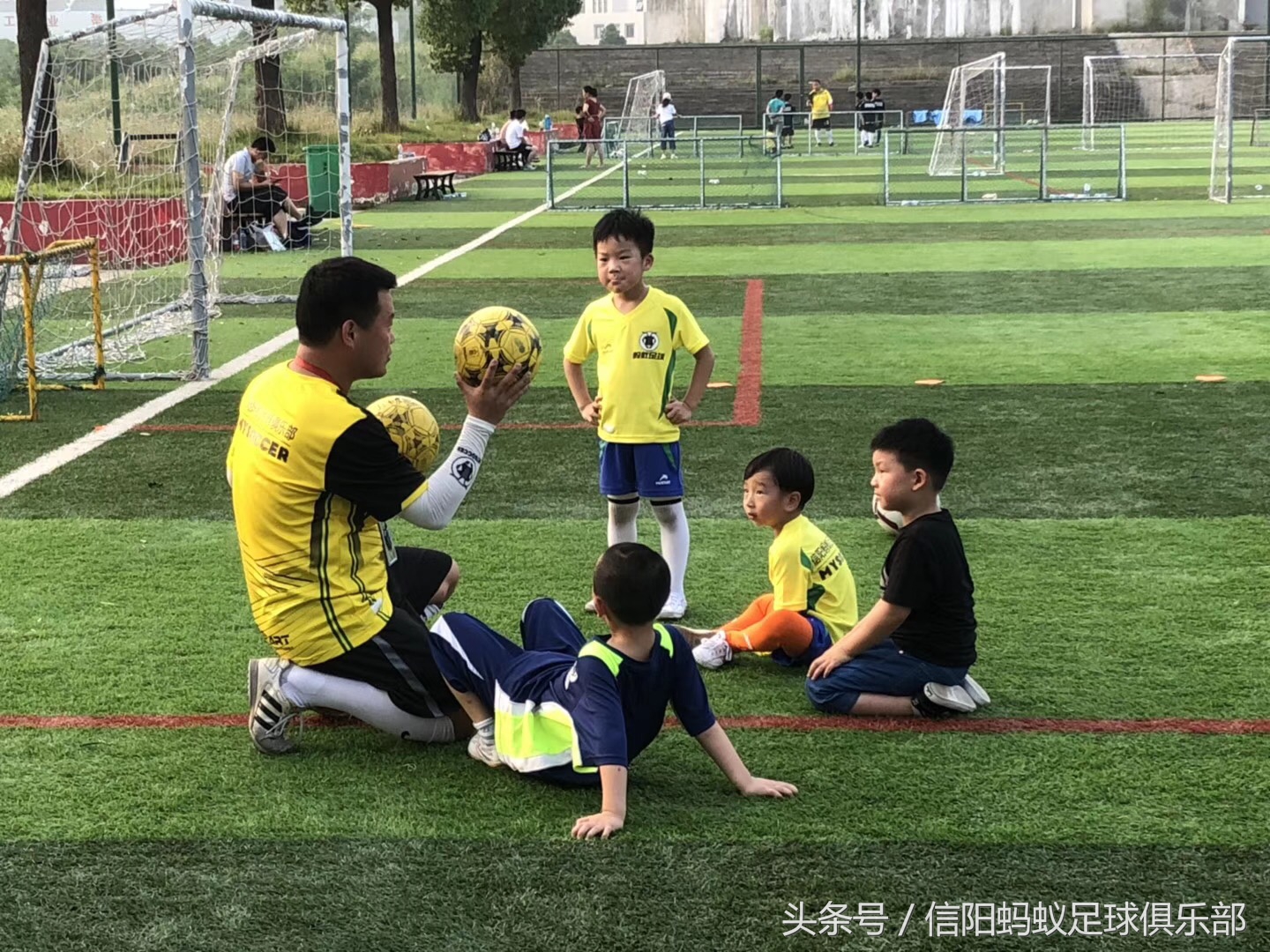 信阳蚂蚁足球俱乐部,河南信阳蚂蚁足球俱乐部有限公司