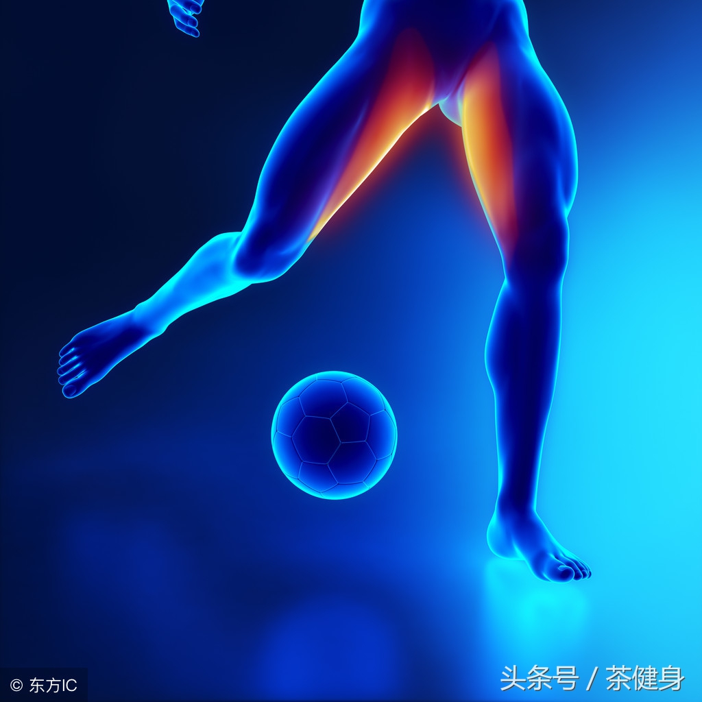 大腿内收肌用什么器械,大腿内收肌紧张怎么拉伸