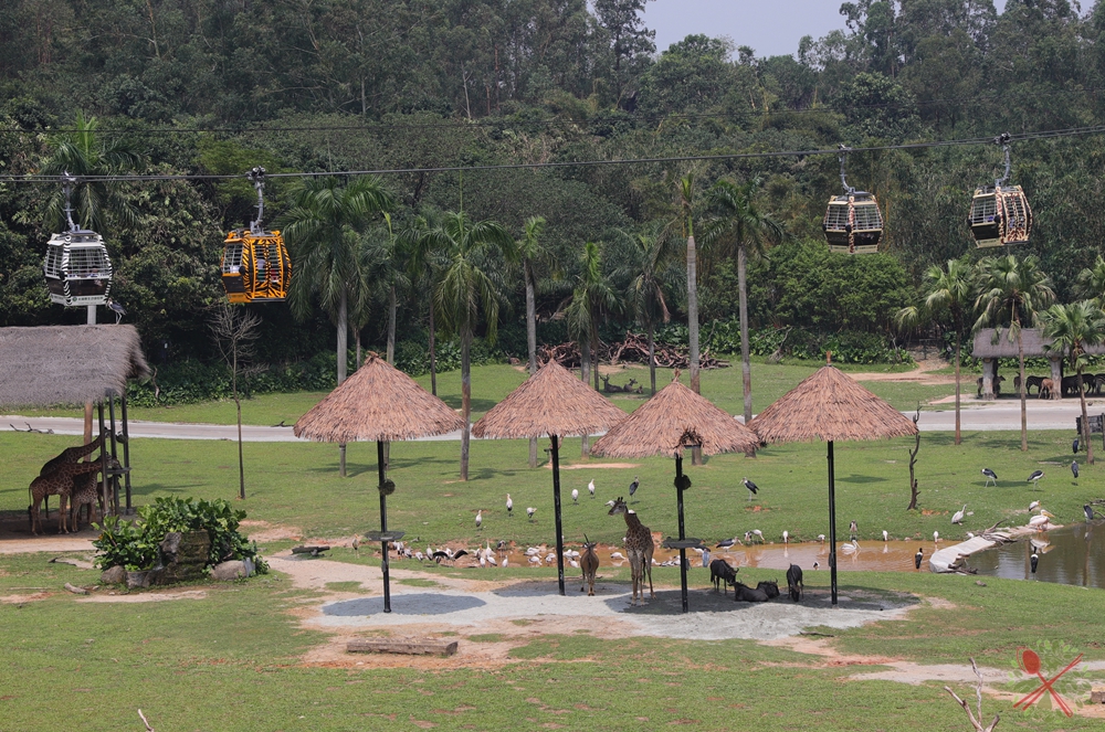 去广州长隆不住景区攻略,春节广州长隆不住园区怎么玩