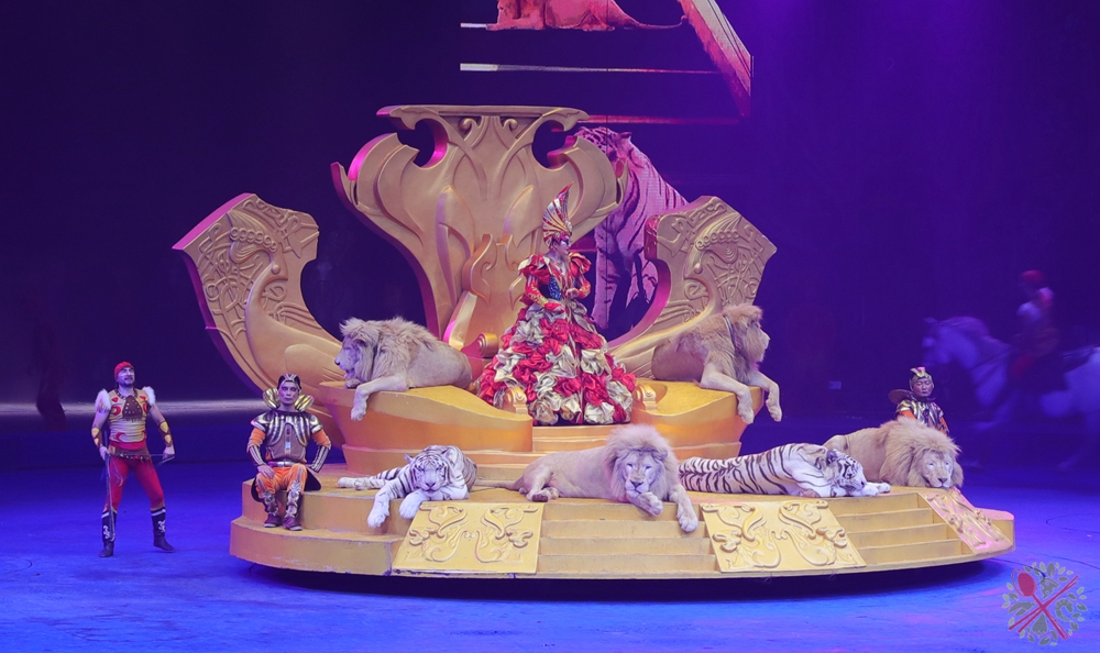 去广州长隆不住景区攻略,春节广州长隆不住园区怎么玩