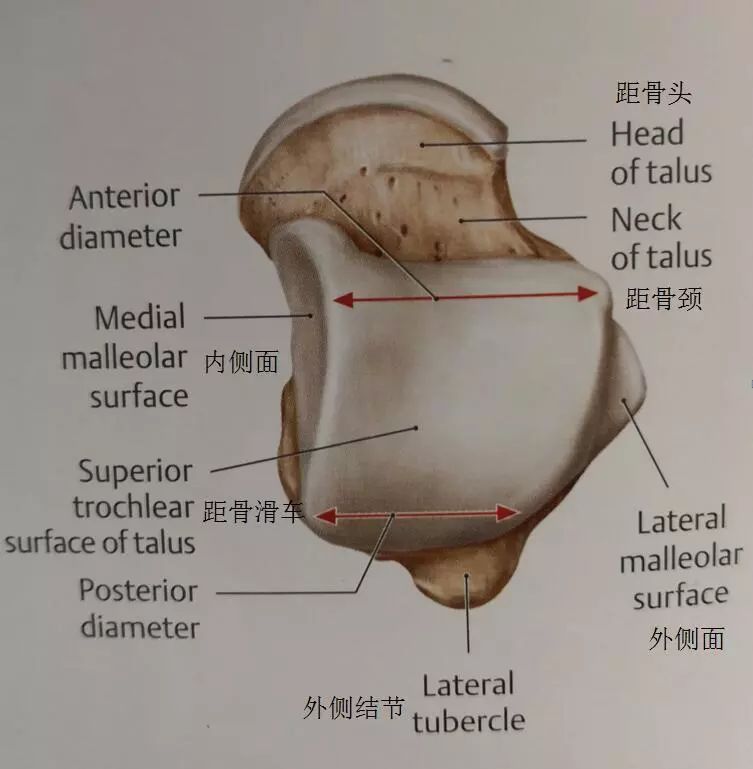 筋骨容易损伤是什么原因,筋骨堂关注事项