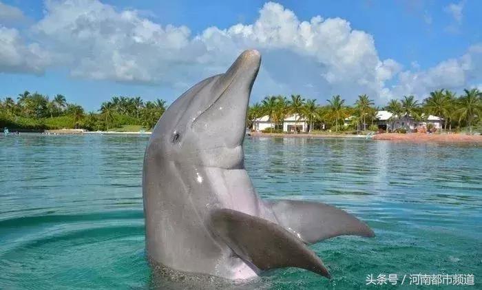 把别人骗得团团转,把一个人骗得团团转