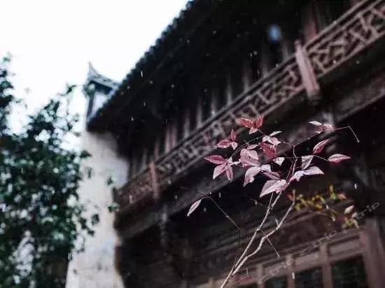 婺源好看的民宿,婺源民宿十佳排名婺源流苏小筑
