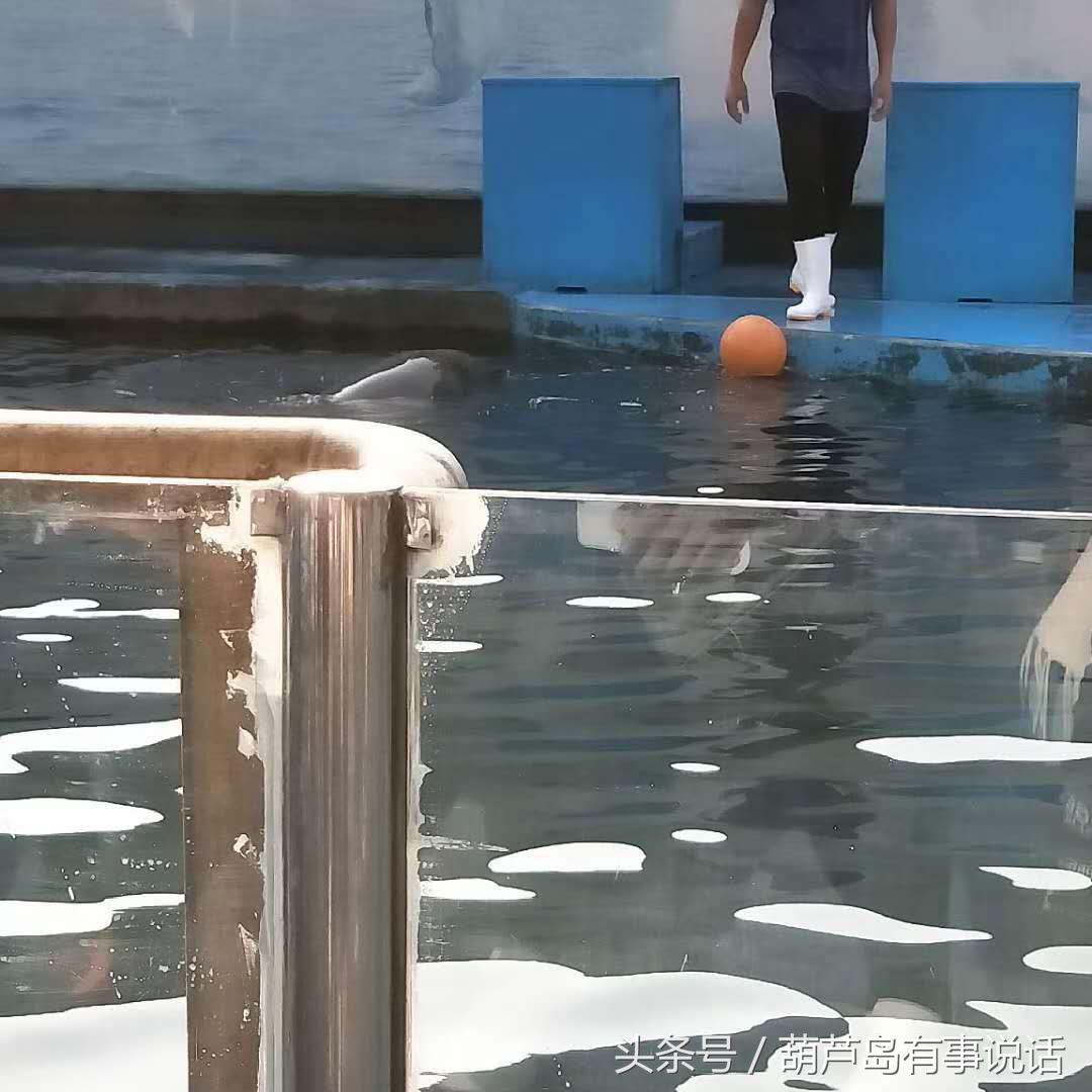 秦皇岛新澳海底世界下午两点去,秦皇岛海洋海底世界