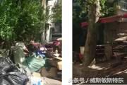 去了上海才知道的事,有什么事情去了上海才知道的