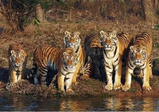 上海地铁的免费景点,上海地铁9号线沿线景点