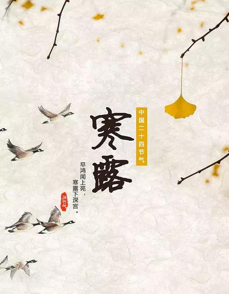 今日寒露天气渐凉出门记得添衣,寒露将至气温变化需当心
