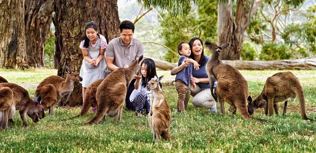 世界最好吃的东西排名第一名,吃货不可错过的12个美食旅游地