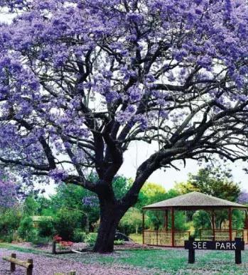 世界最好吃的东西排名第一名,吃货不可错过的12个美食旅游地