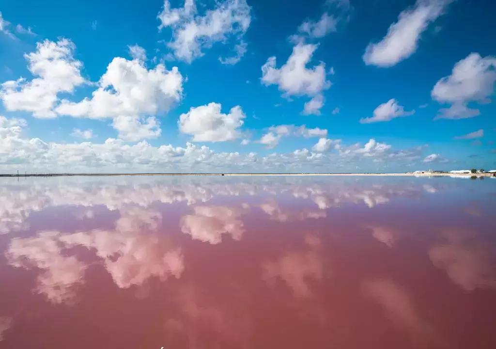 世界最好吃的东西排名第一名,吃货不可错过的12个美食旅游地