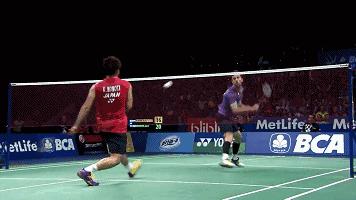 十种必学的羽毛球,羽毛球勾球搓球推球扑球挑球