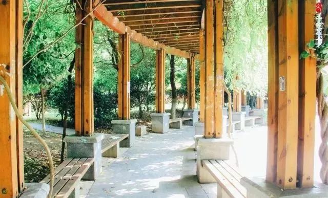 2023年长沙高校排名,长沙市高校排名一览表最新
