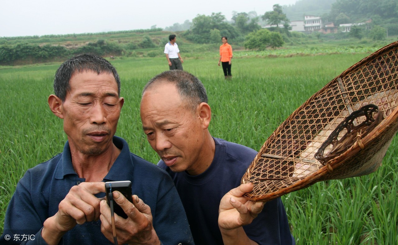 农村怎么致富最快最有效,月入2万的10个小生意农村致富实例