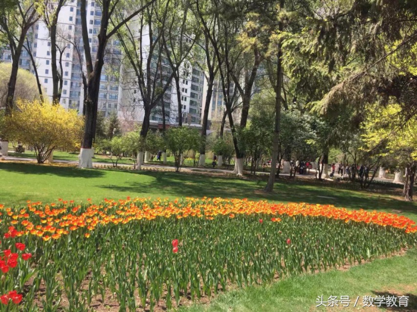 数学中什么时候用和用或,数学知识可以应用到哪些领域