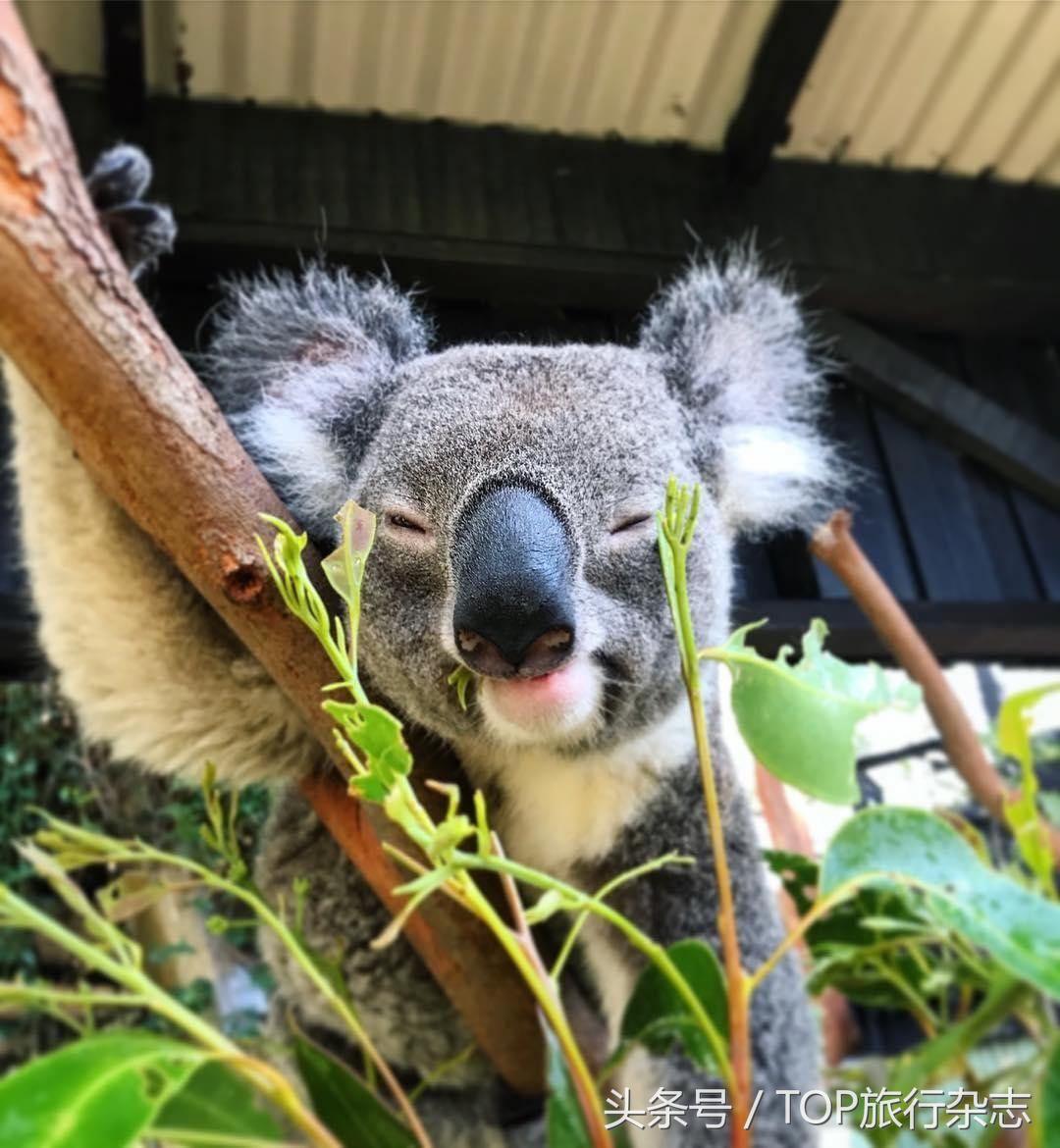 包吃包住包机票出国打工,包吃包住包接送旅游