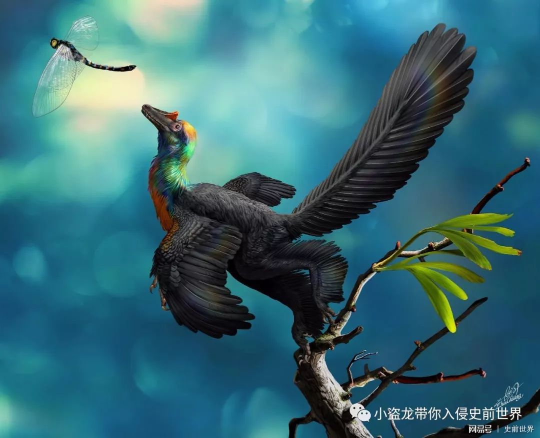 恐龙到底是什么颜色,科学家最初认为恐龙的样子