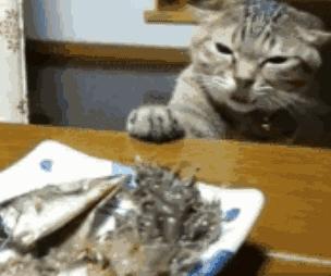 岛国最“臭”的食物该怎么运输？一不谨慎就变成“生化”*器武**！