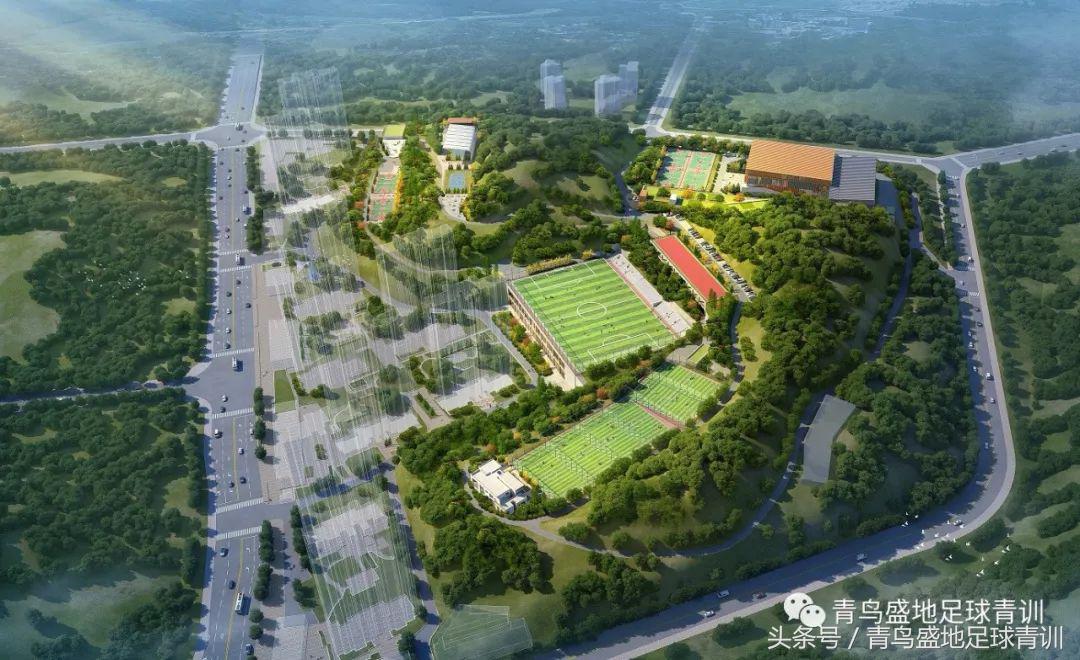 庆祝两周年店庆,2022青鸟盛地八人制足球比赛