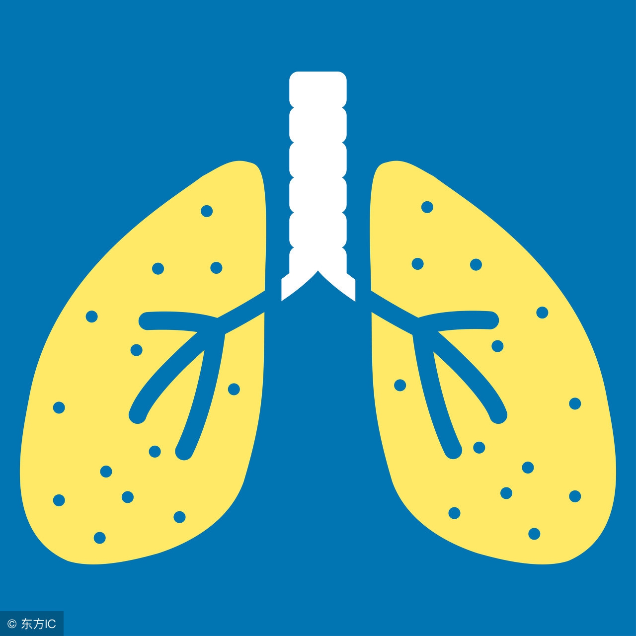 支气管炎这病可怕吗,支气管炎的症状会导致发烧吗