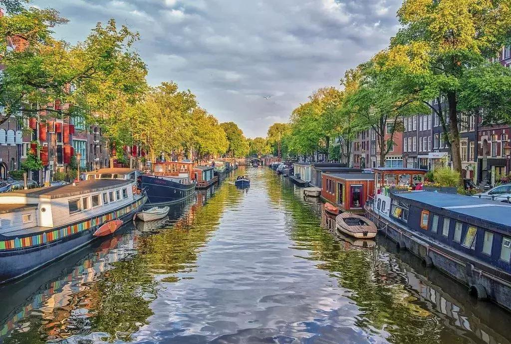 郁金香和风车在哪国,郁金香风车在哪个国家