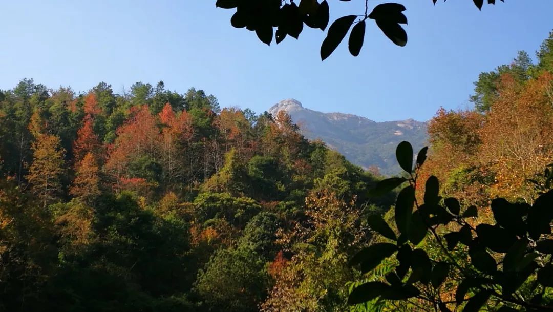 对不起，这个月我要去粤北山区的韶关了