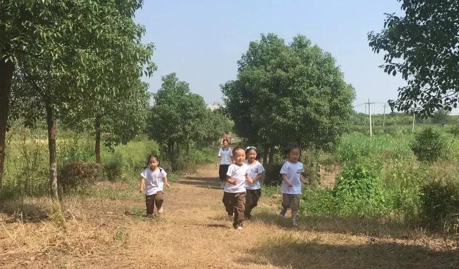 最好的自然教育,自然教育让孩子融入自然