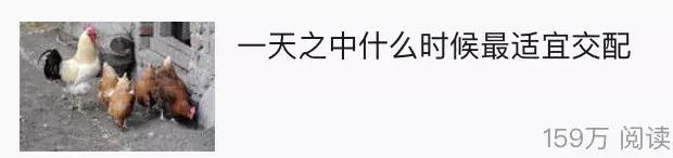 视觉之战，品牌大创意之大片的商业机制—性暗示与诱惑