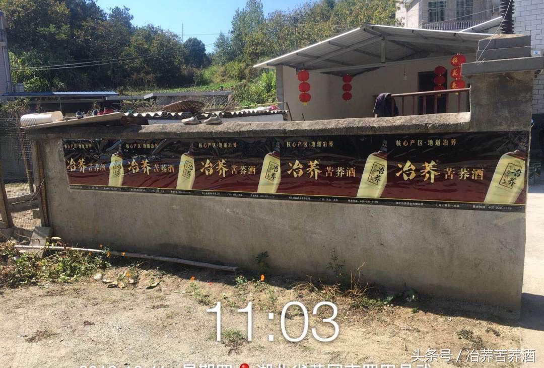 探秘荞酒核心产区，开启健康荞香之门，看“冶荞”如何势不可挡！