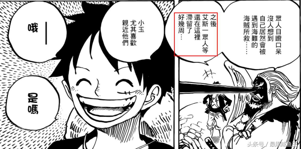 海贼王日和的真实身份,海贼王日和公主照片